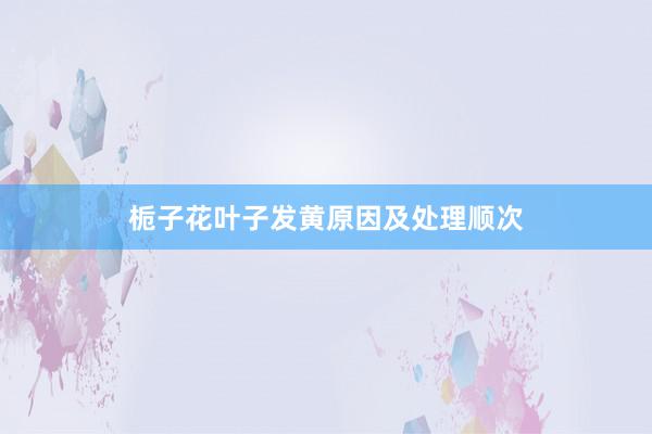 栀子花叶子发黄原因及处理顺次