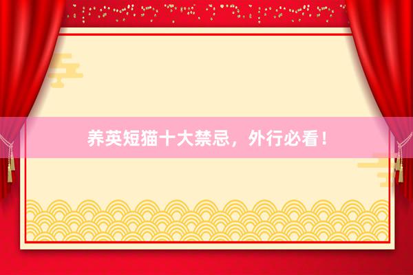 养英短猫十大禁忌，外行必看！