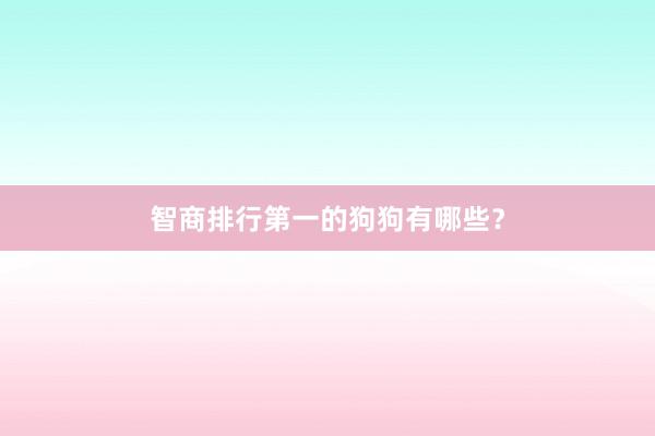 智商排行第一的狗狗有哪些？